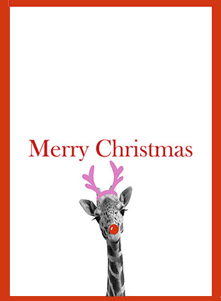Jane Jones' Giraff Card