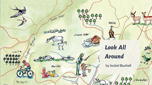 v4 Licensing Style Guide Look around by Isobel Bushell