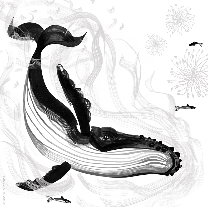 Whale By Lydia Evans